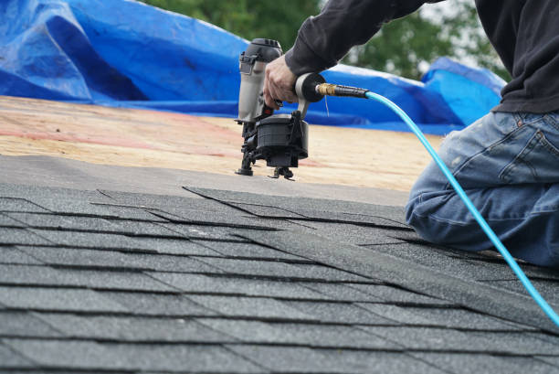 Roof Gutter Cleaning in Poydras, LA